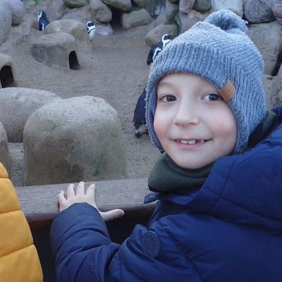 Ein 7jähriger Junge in blauer Winterjacke mit Mütze steht vor dem Gehege der Brillenpinguine in der Wilhelma. Er schaut in die Kamera. Mehrere Pinguine stehen zwischen Steinen und künstlichen Höhlen herum.
