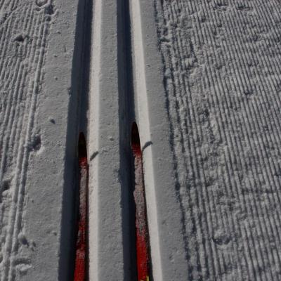 Man sieht Frau Gauchs Ski aus ihrer Perspektive, die in der Loipe fahren.