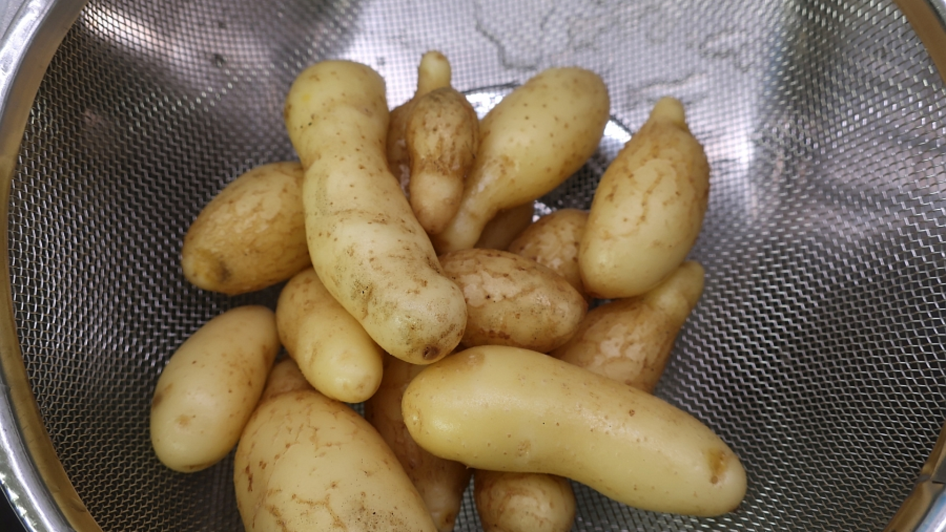 Kartoffelernte