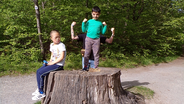 Zwei Schüler sind auf einem großen Baumstumpf. Einer steht und zeigt seine Armmuskeln. Der Zweite sitzt und schaut sich um. 