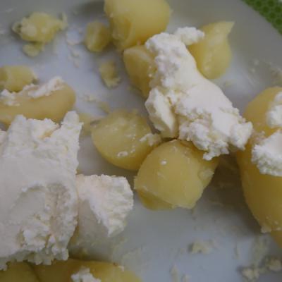 Kartoffelernte
