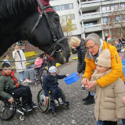 Ein Mädchen im Grundschulalter steht mit einer Lehrerin rechts im Bild, in der Hand ein Stück Karotte. Von links kommt der große schwarze Pferdekopf ins Bild, die Ohren mit rotem Stoff bedeckt. Im Hintergrund weitere Schüler, die anstehen.