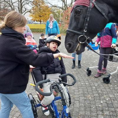 In der Bildmitte ein Junge auf einem Therapiefahrrad, rechts der schwarze Pferdekopf, links seine Lehrerin, die dem Pferd die offene Hand hinhält. Im Hintergrund weitere Kinder und Erwachsene und Herbstbäume.