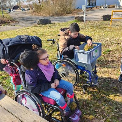Zwei Rollstuhlfahrer, ein Läufer auf der grünen Wiese im Hintergrund das Schulgebäude, der Läufer beugt sich über die Rollstuhlfahrerin von hinten und flüstert was ins Ohr 