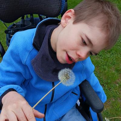 Schüler im Rollstuhl, grüne Wiese, im Hintergrund. Der Schüler hält eine Pusteblume in der Hand, er hat eine hellblaue Jacke an und ein dunkelblaues Tuch um