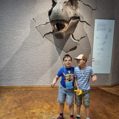 Zwei Jungen stehen im Museum. Hinter ihnen ragt der Kopf eines Tyrannosaurus Rex aus der Wand.