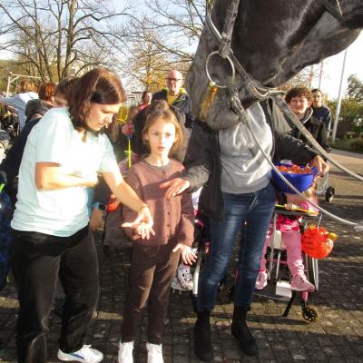 Anstehen zum Füttern: Ein Mädchen steht mit geöffneter Hand zwischen zwei Erwachsenen, von rechts ragt der Kopf des schwarzen Pferdes ins Bild