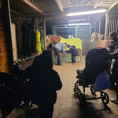 Man sieht eine Gruppe von Kindern und Erwachsenen in einem Stall. Das Pferd ist angeleint. Bei ihm steht eine Frau und hält ein Hufe fest,daneben ein Junge Es ist dunkel, deswegen brennt eine Lampe 