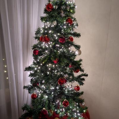 Ein großer geschmückter Weihnachtsbaum mit vielen Lichtern steht am Fenster