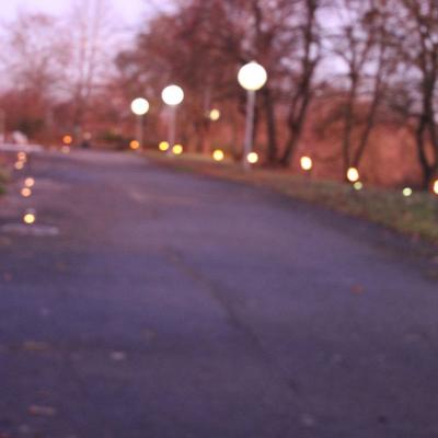 Ein beleuchteter Weg 