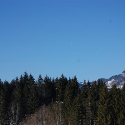 Über einem dunklen Nadelwald sieht man Berge. Als viele kleine entfernte Punkte sieht man 12 Heißluftballons über den blauen Himmel fahren.