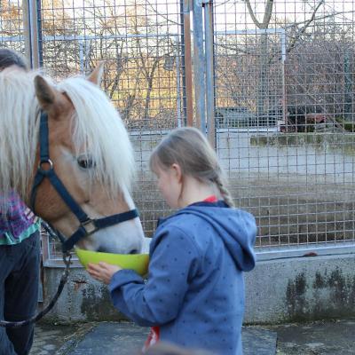 Eine junge Frau füttert ein Pferd aus einer grünen Schüssel