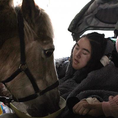 Pferd aus einer grünen Schüssel, sie wird dabei von einer Frau unterstützt.