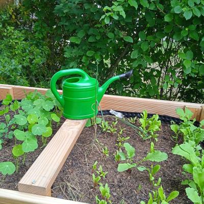 Das Hochbeet hat neue Pflanzen