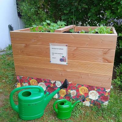 Zwei Gießkannen stehen vor dem Hochbeet