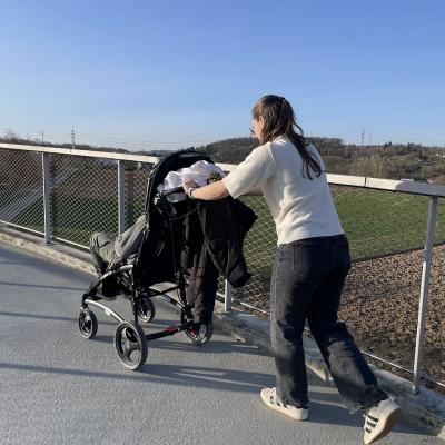 Eine Frau schiebt einen Buggy