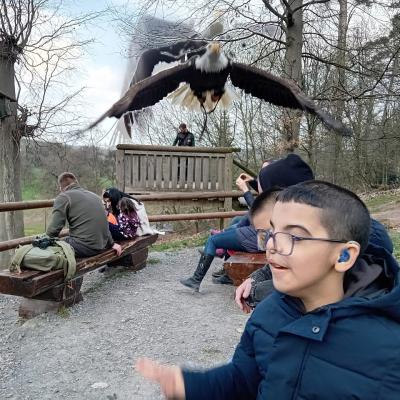 Ein Junge wird von der Seite Fotografiert. Er ist draußen. Über ihm Fliegt ein großer Falke. 