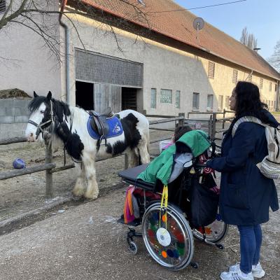 Eine junge Frau im Rollstuhl und eine Frau stehen mit dem Rücken zur Kamera. Vor ihnen steht ein Pferd.