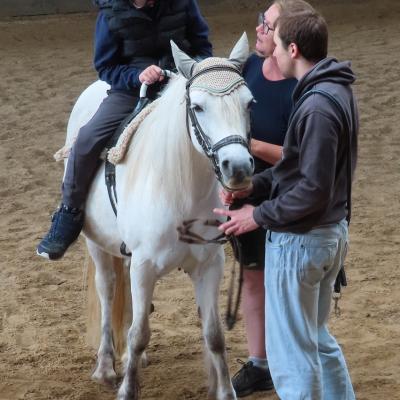 Ein 9jähriger Junge mit Helm frontal aufgenommen auf einer weißen Stute in der Reithalle auf dem Gelände der Karlshöhe. Sandiger Boden, zwei Begleitpersonen rechts neben ihm.