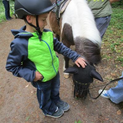 Ein 9jähriger Junge streichelt auf einem Waldweg ein dunkelbraun-weiß geflecktes Pony, das den Kopf gesenkt hat. Im Hintergrund 3 Erwachsene und ein Kind.