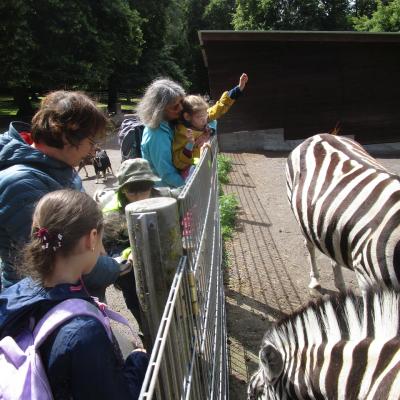 Am Zaun 2 Erwachsene und 3 Kinder, im Gehege 2 Zebras. Ein Mädchen wird hochgehoben und streckt die Arme nach den Tieren aus. 